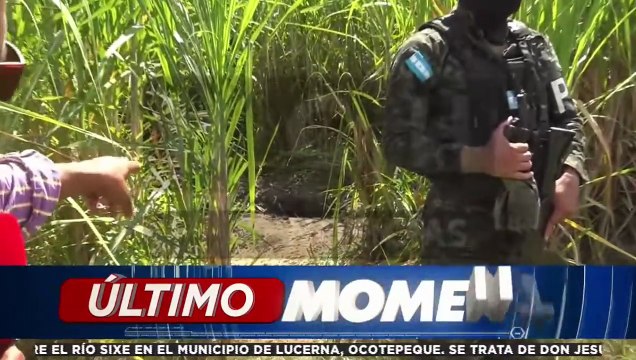 ¡Dantesco! Sin vida encuentran a un hombre enterrado en unas cañeras en San Pedro Sula