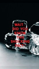 Money vs Nicotine: The Shocking Similarity in Brain Reaction 🧠💵🚬