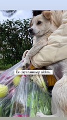 Bir dokunuş, bir ömür mutluluğu getirmiş 👏