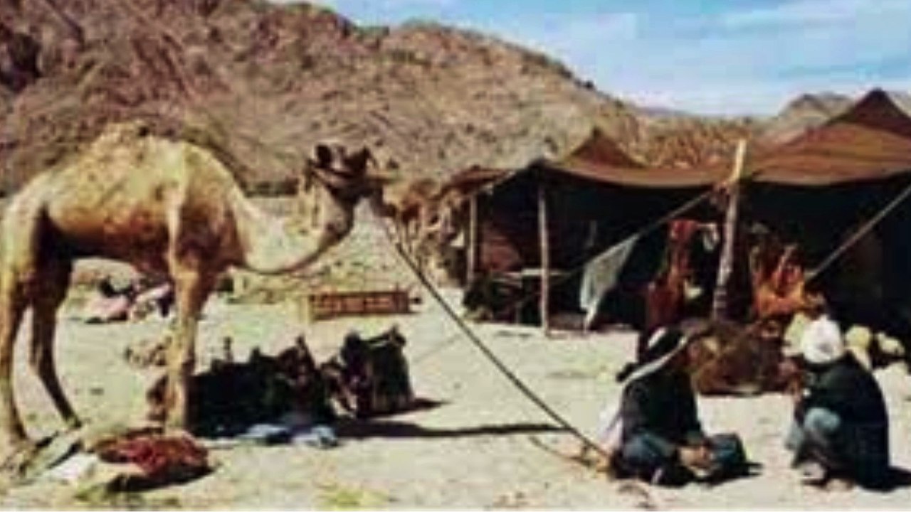 قصة الفارس والشيخ سعدون العواجي