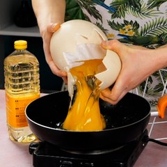 Creating an Elegant Lamp Using Ostrich Eggshells! 🥚