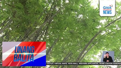 Iba't ibang produkto na yari sa kawayan, ibinida sa 27th Bamboo Training at Seminar sa Carolina Bamboo Garden | Unang Balita