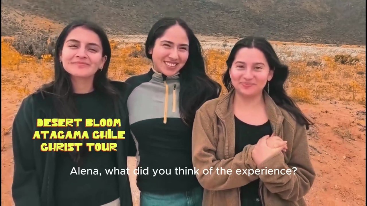 The driest desert on Earth is blooming in Atacama, Chile. #Copiapó #Vallenar #AtacamaBloom