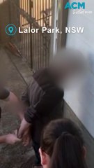 Man charged after child-like sex doll and AI-generated child abuse material found
