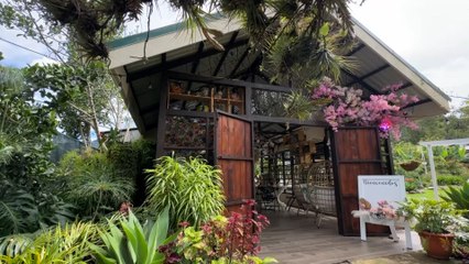 mqn-Casa Botánica: un refugio entre flores, sabores y sueños en Dota-221025