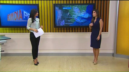 Confira a previsão do tempo para o Paraná -  Bom Dia Paraná