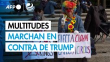 "No a los reyes": multitudes de estadounidenses marcharon contra Trump