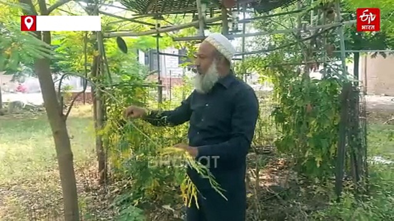 बड़वानी में हरी-भरी हुई बंजर जमीन, केजर आदिल ने...