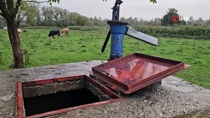 Bu su kuyusundan bir vahşet çıktı! Bir kadın cinayeti daha!