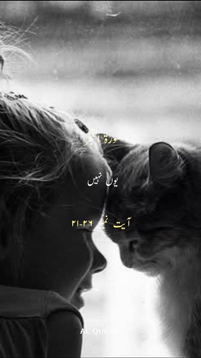 surah Al fajar || 1 million followers #islamick...