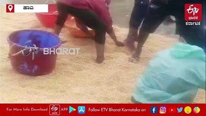 ಹಾವೇರಿ, ದಾವಣೆಗೆರೆಯಲ್ಲಿ ಅಬ್ಬರಿಸಿದ ವರುಣ: ರಸ್ತೆಗಳು ಜಲಾವೃತ, ಮಳೆ ನೀರನಲ್ಲಿ ತೇಲಿದ ಮೆಕ್ಕೆಜೋಳ ರಾಶಿ!