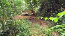 D6R XL Bulldozer Road Service, A Crucial Step for Plantation Roads