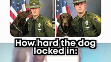 How hard the dog locked in #awezchaitrend 🗿