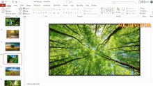 Create a Picture Slideshow in PowerPoint | Add Multiple Pictures Fast