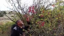 Doktorların doğa sevgisi