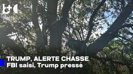 Trump forcé de monter à bord d'Air Force One par de petites marches après une alerte suspecte