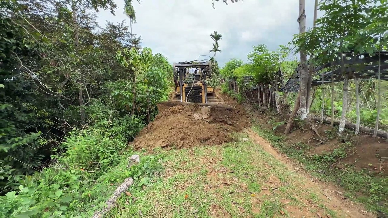 Efficiency of D6R XL Bulldozer Service for Plantation Infrastructure