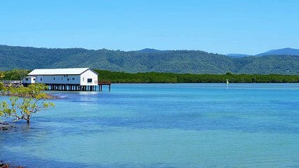 Where the ocean sparkles in Port Douglas