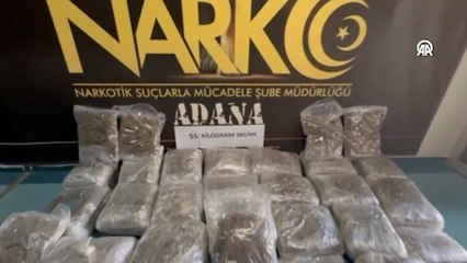 TIR'da 55 kilogram skunk ele geçirildi