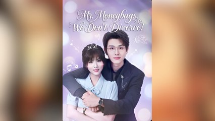 Mr. Moneybags, We Don't Divorced! Full Movies
