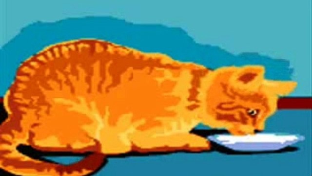 Animals Video for Kids