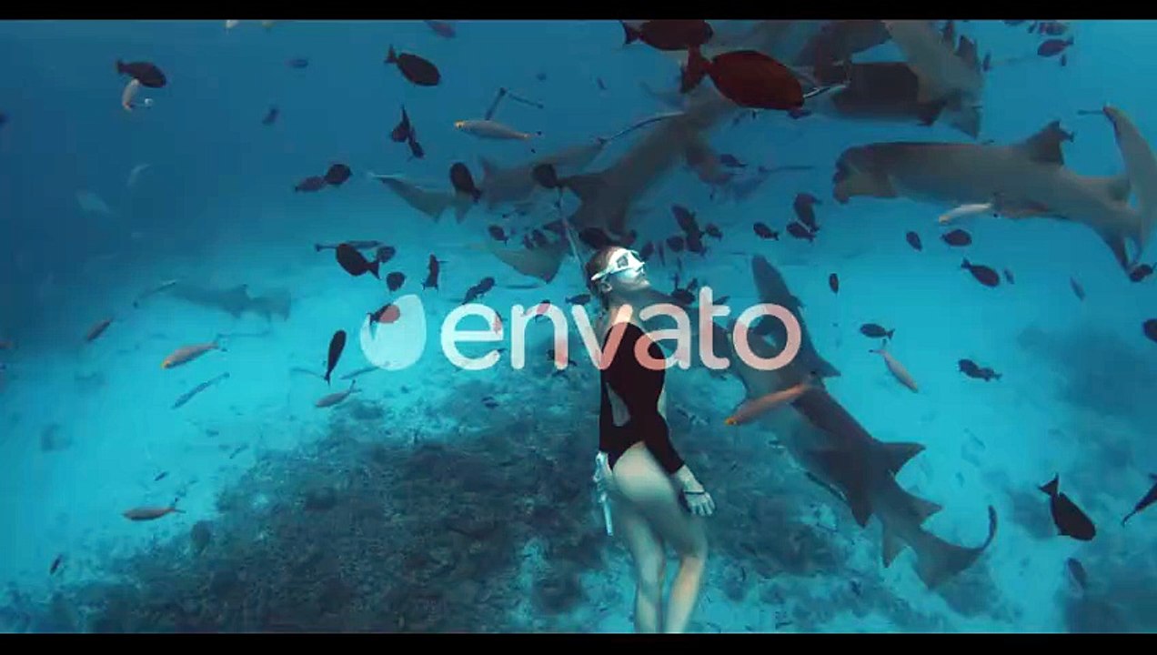 Woman Freediver in a Clear Tropical Water with Nurse Sharks in Maldives