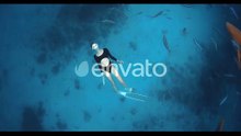 Woman Freediver Glides Underwater in Blue Sea with Sharks and Tropical Fishes