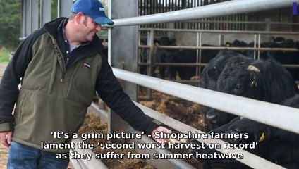 Shropshire Star Morning Update 20 October, 2025