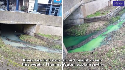 Luton Today Morning Update 20 October, 2025