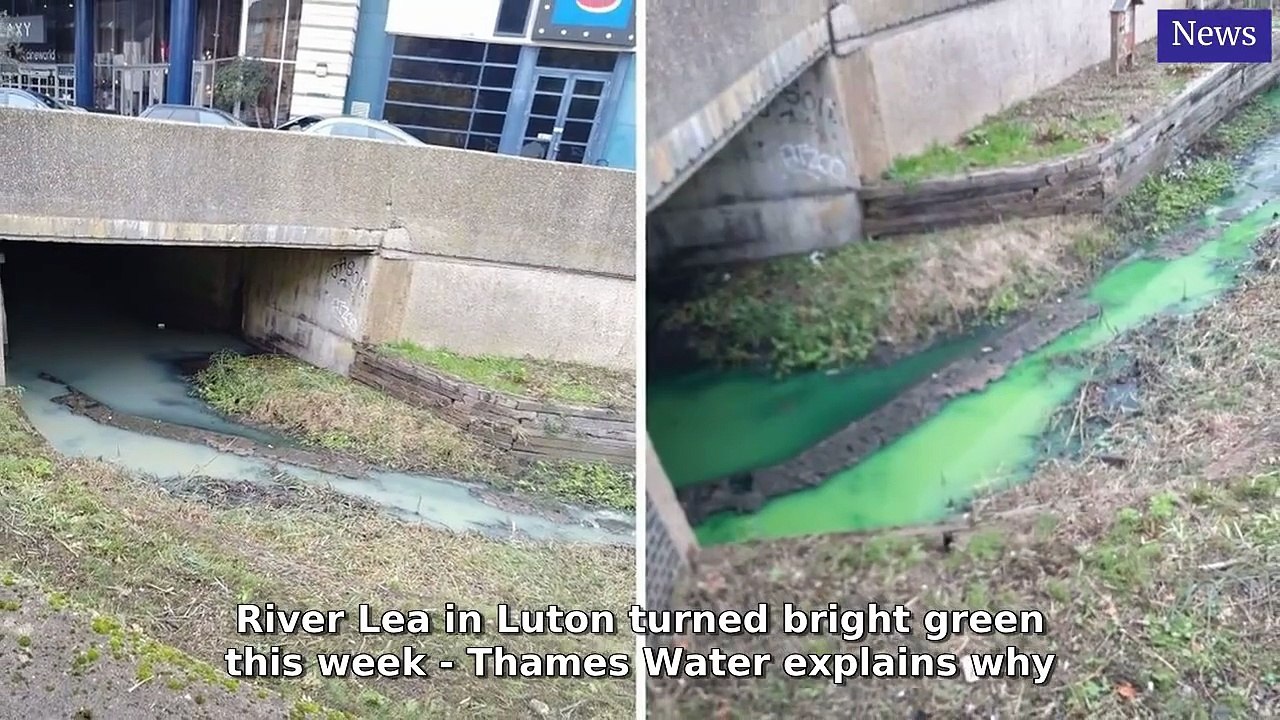 Luton Today Morning Update 20 October, 2025