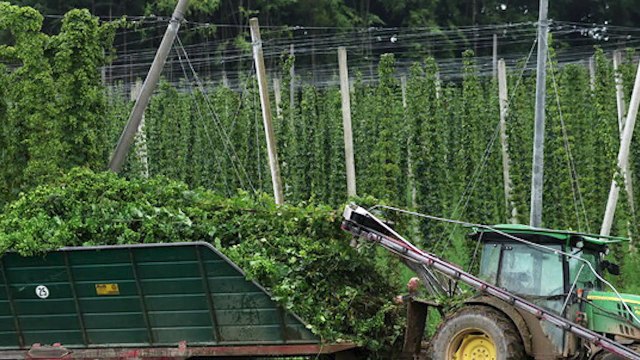 Nuove borse di studio previste per i giovani futuri leader nel settore agricolo