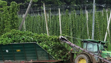 Nuove borse di studio previste per i giovani futuri leader nel settore agricolo