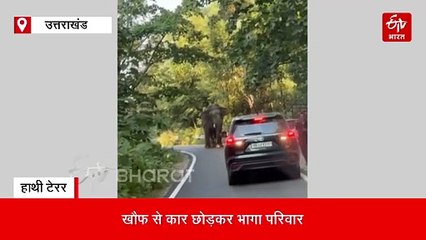 Watch Video: रामनगर में अचानक रोड पर आया टस्कर हाथी, खौफ से कार छोड़कर भागा परिवार
