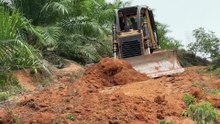 Reviving Old Palm Oil Plantation Roads with D6G Bulldozer Technology