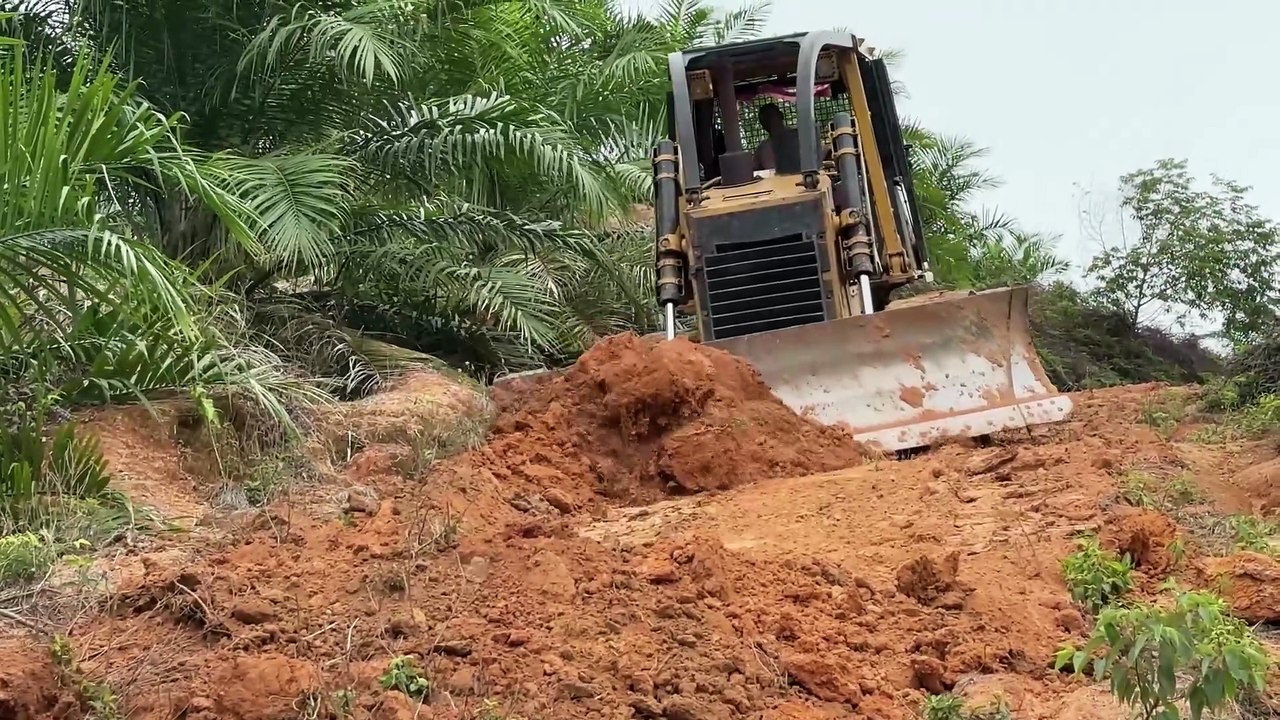 Reviving Old Palm Oil Plantation Roads with D6G Bulldozer Technology