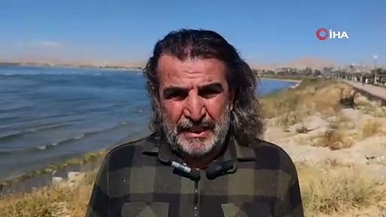 Türkiye'nin en büyük gölü zarif konuklarıyla renklendi