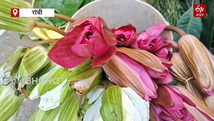 पारंपरिक सामानों से गुलजार हुआ बाजार, चारों ओर दीपावली की रौनक