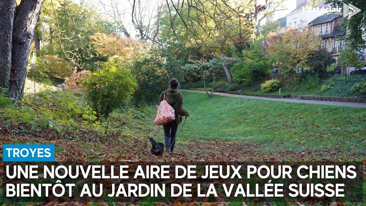 Une nouvelle aire de jeux pour chiens bientôt au jardin de la Vallée suisse