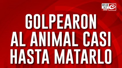 Brutal agresión a un carpincho: lo golpearon y lo dejaron al borde de la muerte