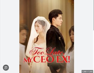 Too Late My Ceo Ex - Full