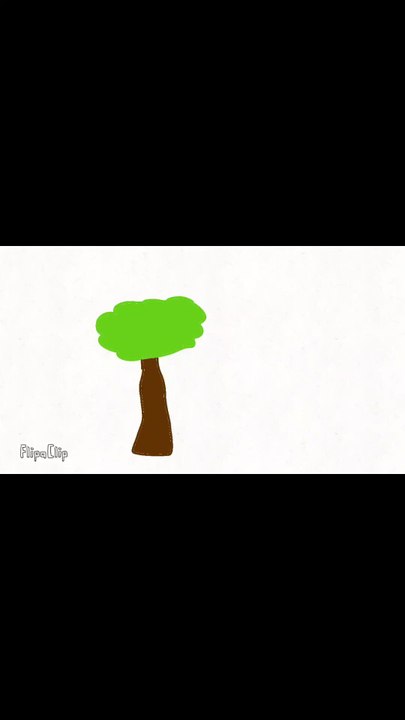 🌲🌲🌲