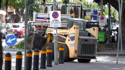 Via Tommaso Cannizzaro alberi potati, le preoccupazioni dell'agronomo Tignino