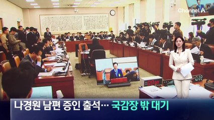 나경원 남편 증인 출석…국감장 밖에서 대기한 나경원
