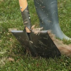 Transformer le jardinage en un véritable plaisir