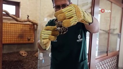 Konya'da inanılmaz olay! Polisin durdurduğu şahsın cebinden öyle bir şey çıktı ki...