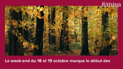 Vacances de la Toussaint : à quoi s’attendre sur les routes pour ce premier week-end ?