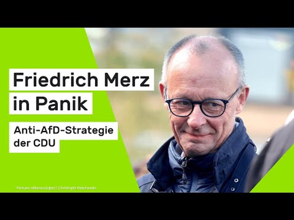 Friedrich Merz in Panik: Anti-AfD-Strategie der CDU - das plant der Kanzler