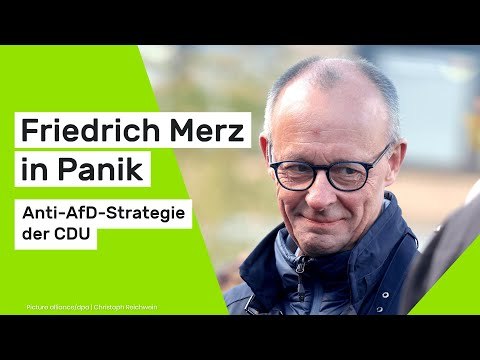 Friedrich Merz in Panik: Anti-AfD-Strategie der CDU - das plant der Kanzler