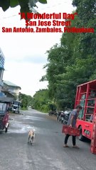 A wonderful Day in San Jose Street in San Antonio, Zambales, Philippines