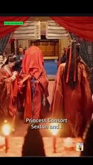 A Prince Consorts Atonement Engsub